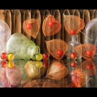 Randy Dana : Lanterns & Marbles