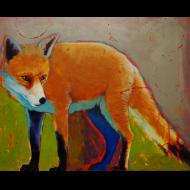 Marla Baggetta: Fox