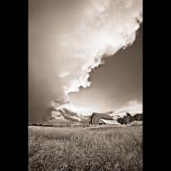 Marty Hulsebos: Barn Storm