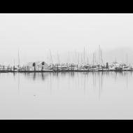David Johnson: Port Orchard