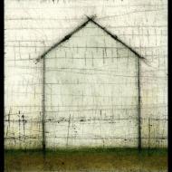 scott olson: scratchy house