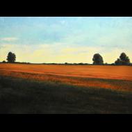 Rachel Harvey: Long After