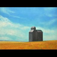 Rachel Harvey: Affinity