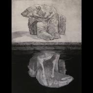 steve nowatzki: Polar Interests