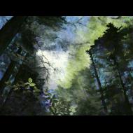 Kay Crawford: Cathedral