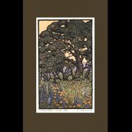 Yoshiko Yamamoto: Summer Oaks (Sunset)