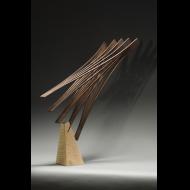Seth Rolland: Bird in Space