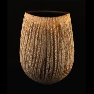 Brian ONeill: Lichen Tulip Vessel