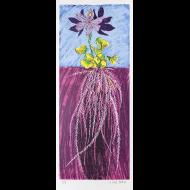 Gail Owen: Floating Hyacinth