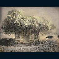 Micheal Paul Cole: work house