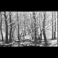 Christopher Brown: River walks