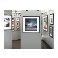 William Vanscoy: 10x10 W/Canopy