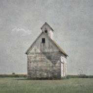 William Vanscoy: Whats Mine What Is