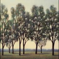 Taman VanScoy: Trees