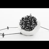 Melissa Finelli: bloom