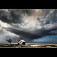 David Mayhew: Barnyard Blues