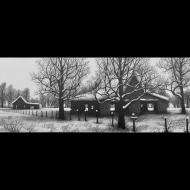 Christopher Brown: welcome winter