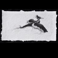 Steve Nowatzki: Unraveling II