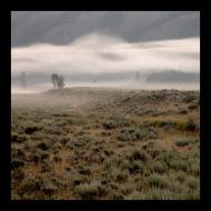 Dana Echols: Teton Fog