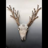Erin Pietsch: Treesa