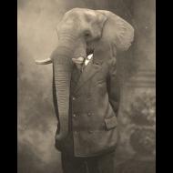 Eric Clay: Ezer Elephant