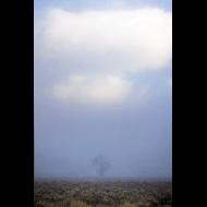Dana Echols: Lifting Fog Tetons