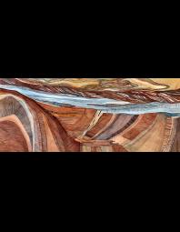 Lindsey Fox: Canyonlands Abstract