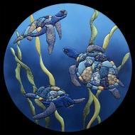Hitomi Johnson: Turtle