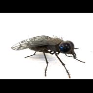 Sean Goddard: Horsefly