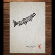 Tyler Jensen: GERMAN BROWN & MAYFLY
