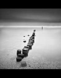 Jonathan Knight: Wooden Stumps