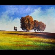 Rachel Harvey: The Morning Itself