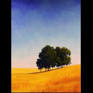 Rachel Harvey: Heart So Light As Mine