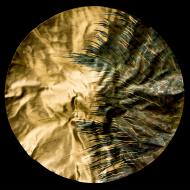 Jay Kim: Blowing with the Wind