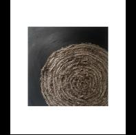 Erin Meyer: Ganymede