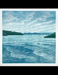 Dan Filler: Salish Views