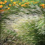 YanFang Inlow: Breeze Grasses