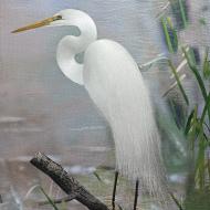 YanFang Inlow: White Egret