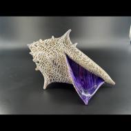 Johnathon Tardif: Crackled Shell