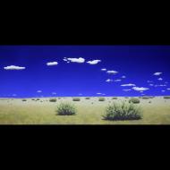 Jeffrey Cannon: Room to Roam
