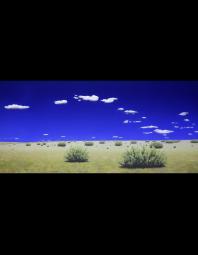 Jeffrey Cannon: Room to Roam