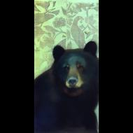 Sylvia Gonzalez: Bear on Light Blue birds