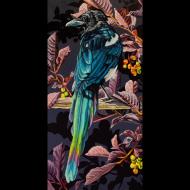 Sheila Evans: Avian Gothic