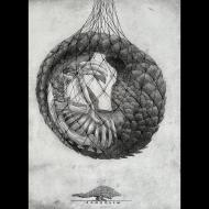 Steve Nowatzki: Our Dirty Laundry