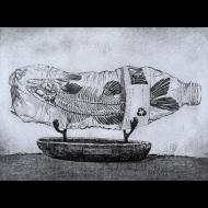 Steve Nowatzki: Message In A Bottle