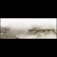 Heather Fields: Fog at the Coast