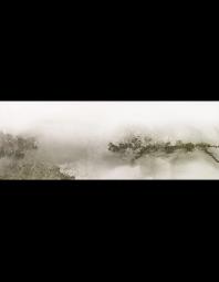 Heather Fields: Fog at the Coast