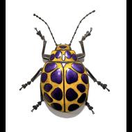 Sean Goddard: Leaf Beetle Sculpture