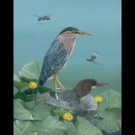 Rebekah Zeimetz: Where Dragonflies Dance