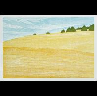 Dan Filler: Late Summer Hills